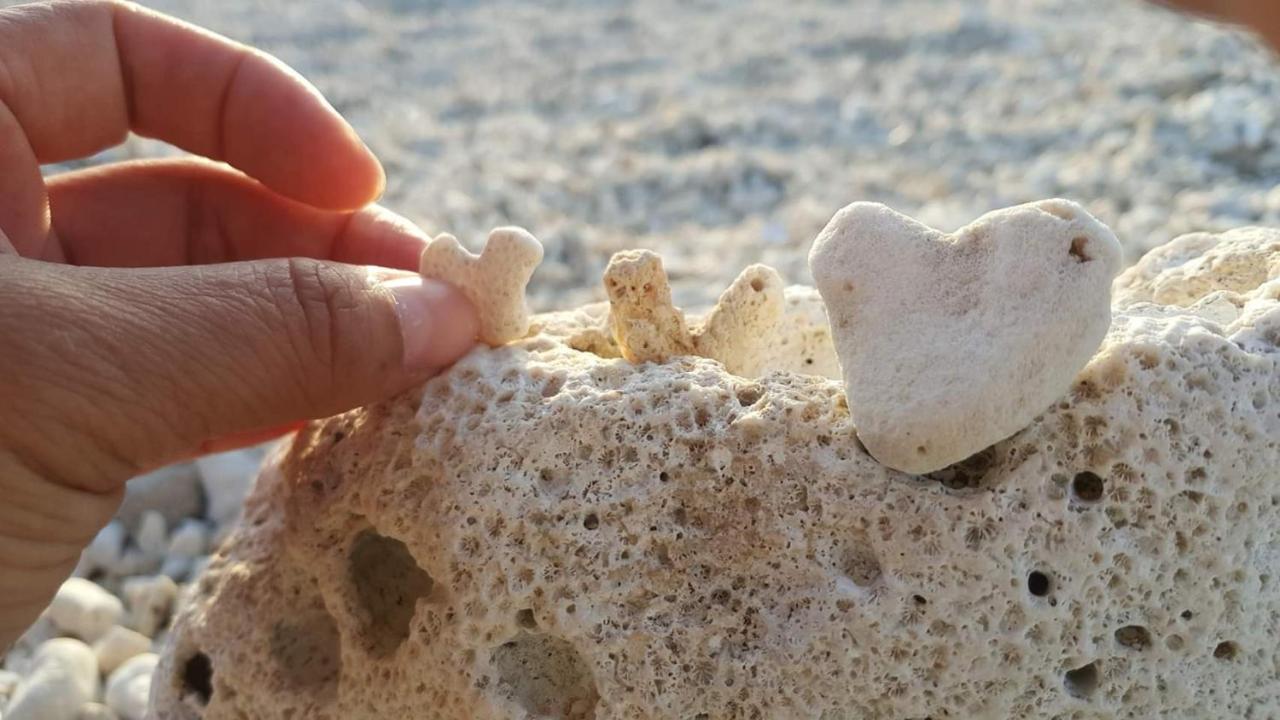 Whitiedoggie Villa Cape Eluanbi Dış mekan fotoğraf