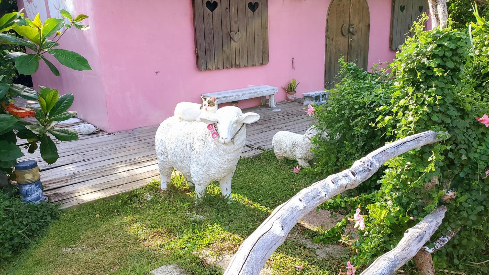 Whitiedoggie Villa Cape Eluanbi Dış mekan fotoğraf